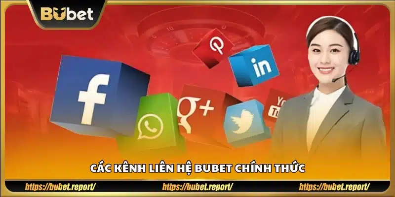 Kênh hỗ trợ khách hàng và liên hệ của Bubet