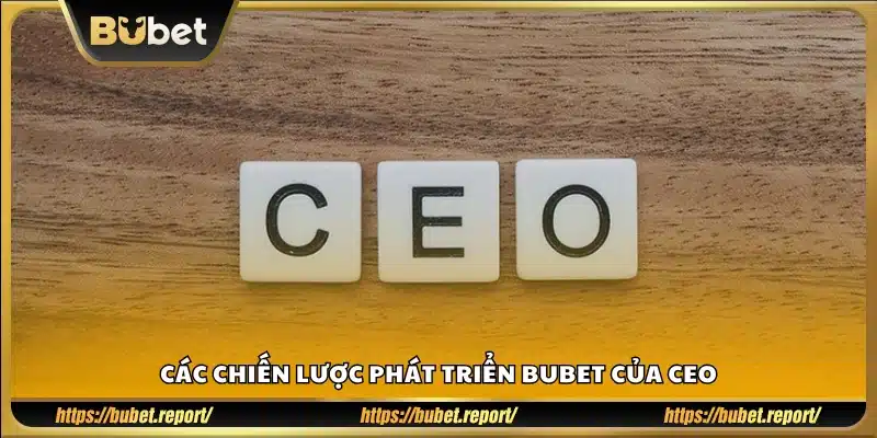 Chiến lược kinh doanh và phát triển do CEO Ngọc Thảo đề ra