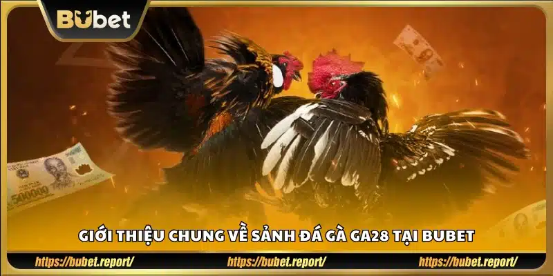 Tổng quan về sảnh GA28 đá gà trực tuyến trên Bubet